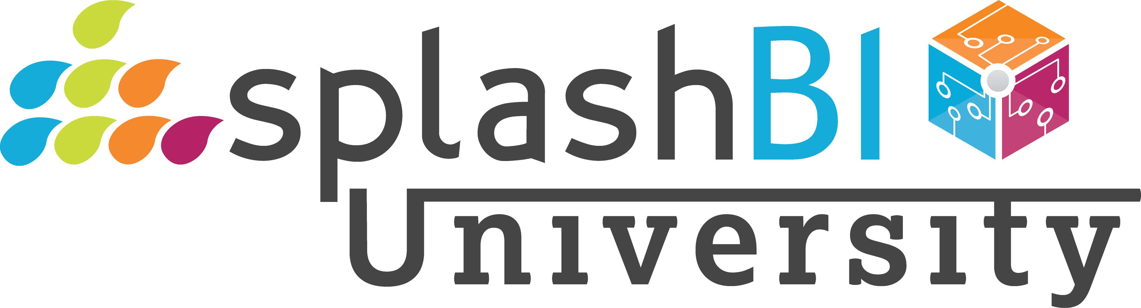 SplashBI University